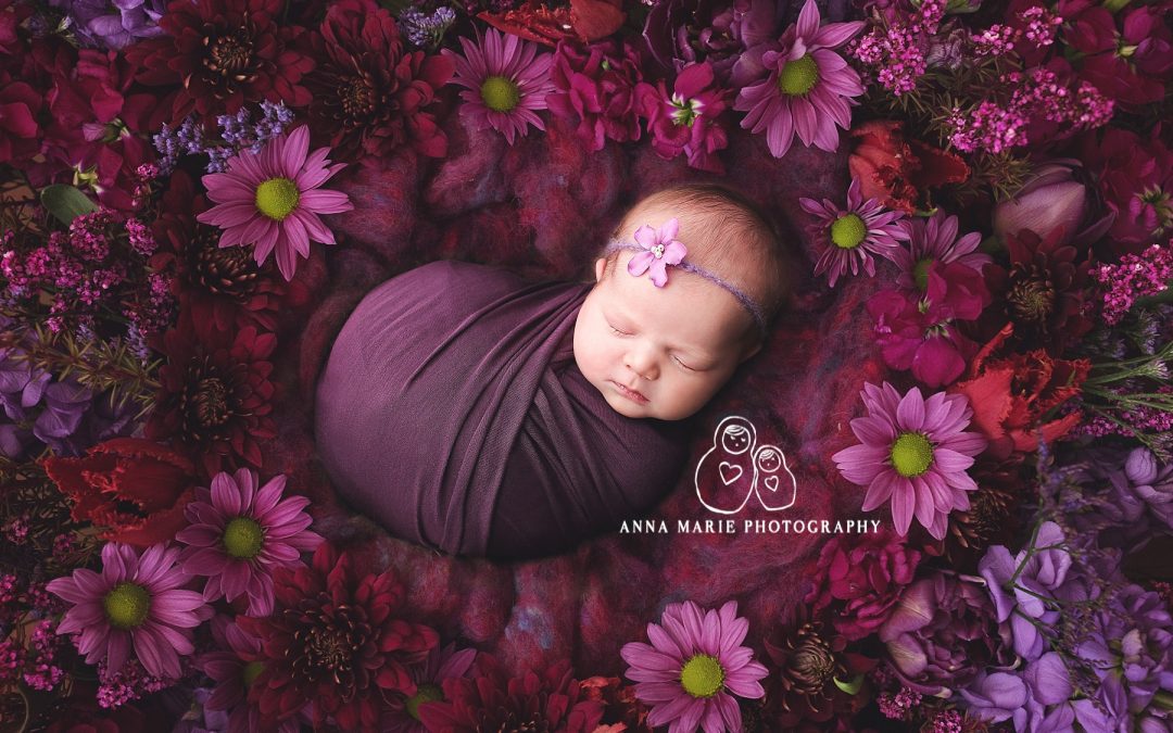 Lees Summit Newborn Photographers | Haven