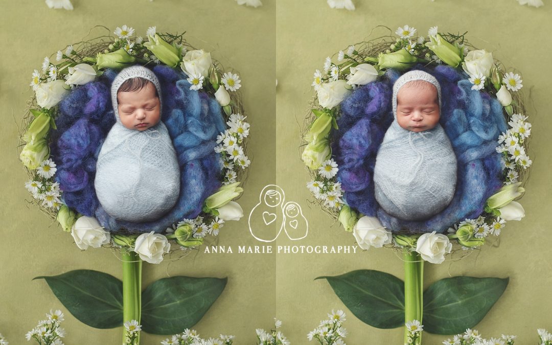 Overland Park Newborn Photography | Twin babies in the Studio