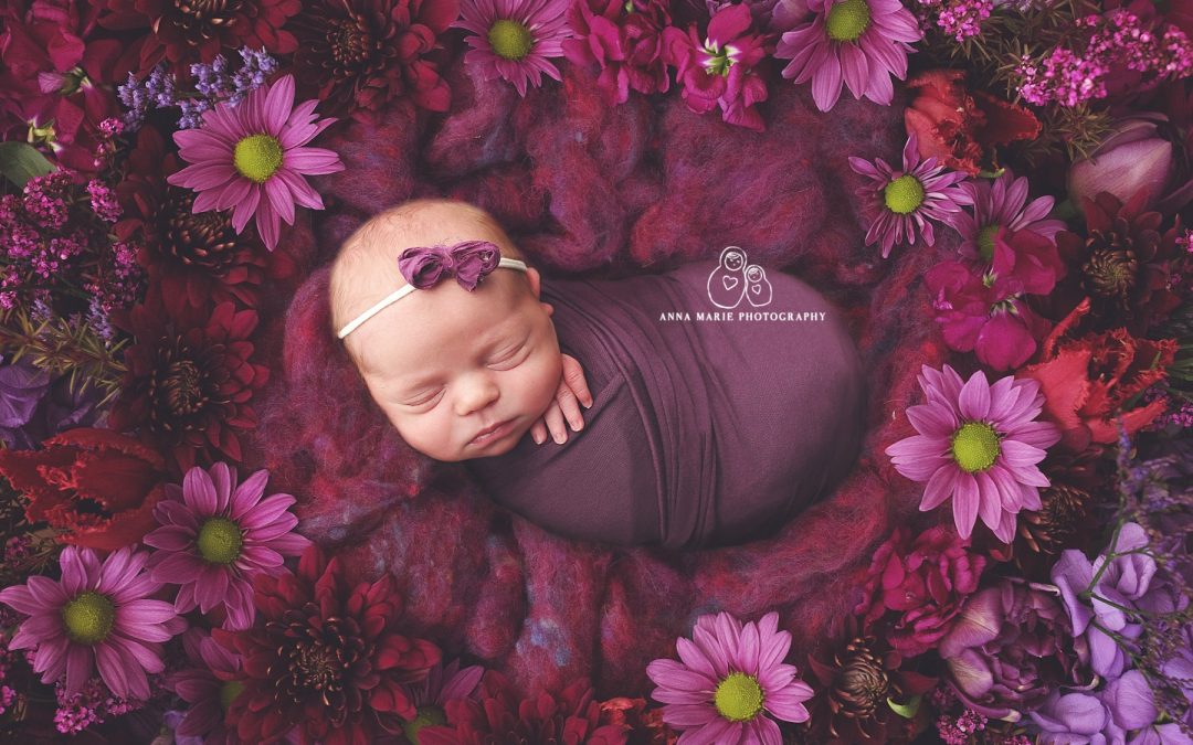 Mission Hills Newborn Photographer | Eve is in the Studio