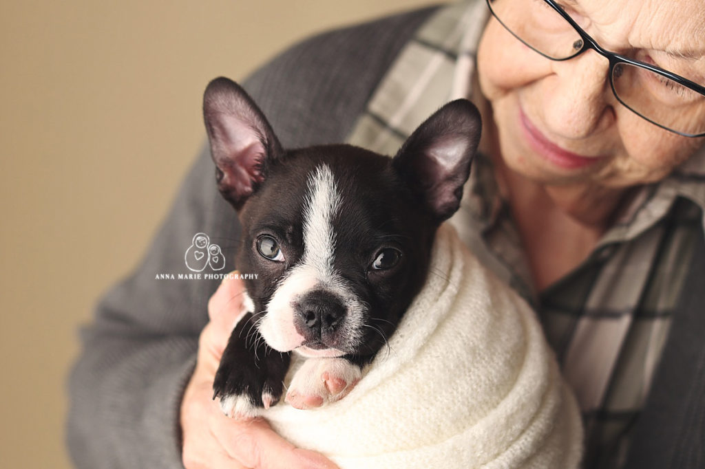 Puppy Photography Kansas City