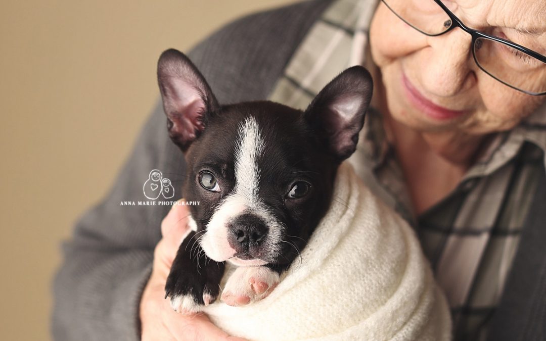 Puppy Photography Kansas City | Darlene and Lucy are the Perfect Pair