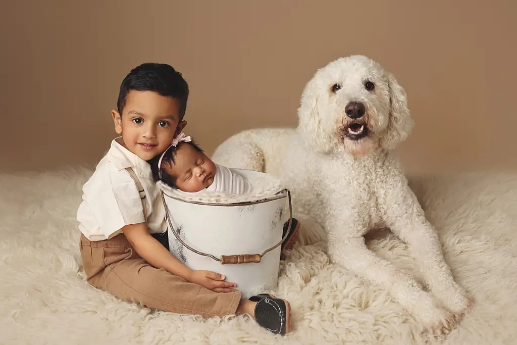 Sibling and family dog with newborn baby girl during professional Kansas City family photography session