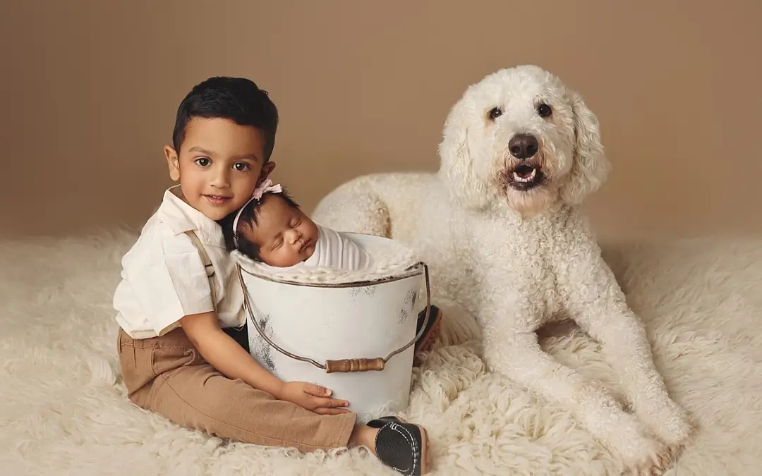 👨‍👩‍👧‍👦 Why Anna Marie Photography Is the Best Family Photographer in Kansas City