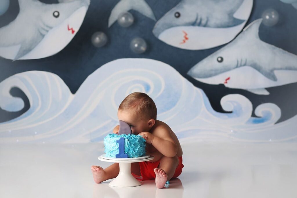 shark themed cake smash for one year old boy at kansas city photography studio